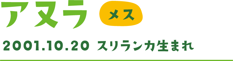 アヌラ メス 2001.10.20 スリランカ生まれ