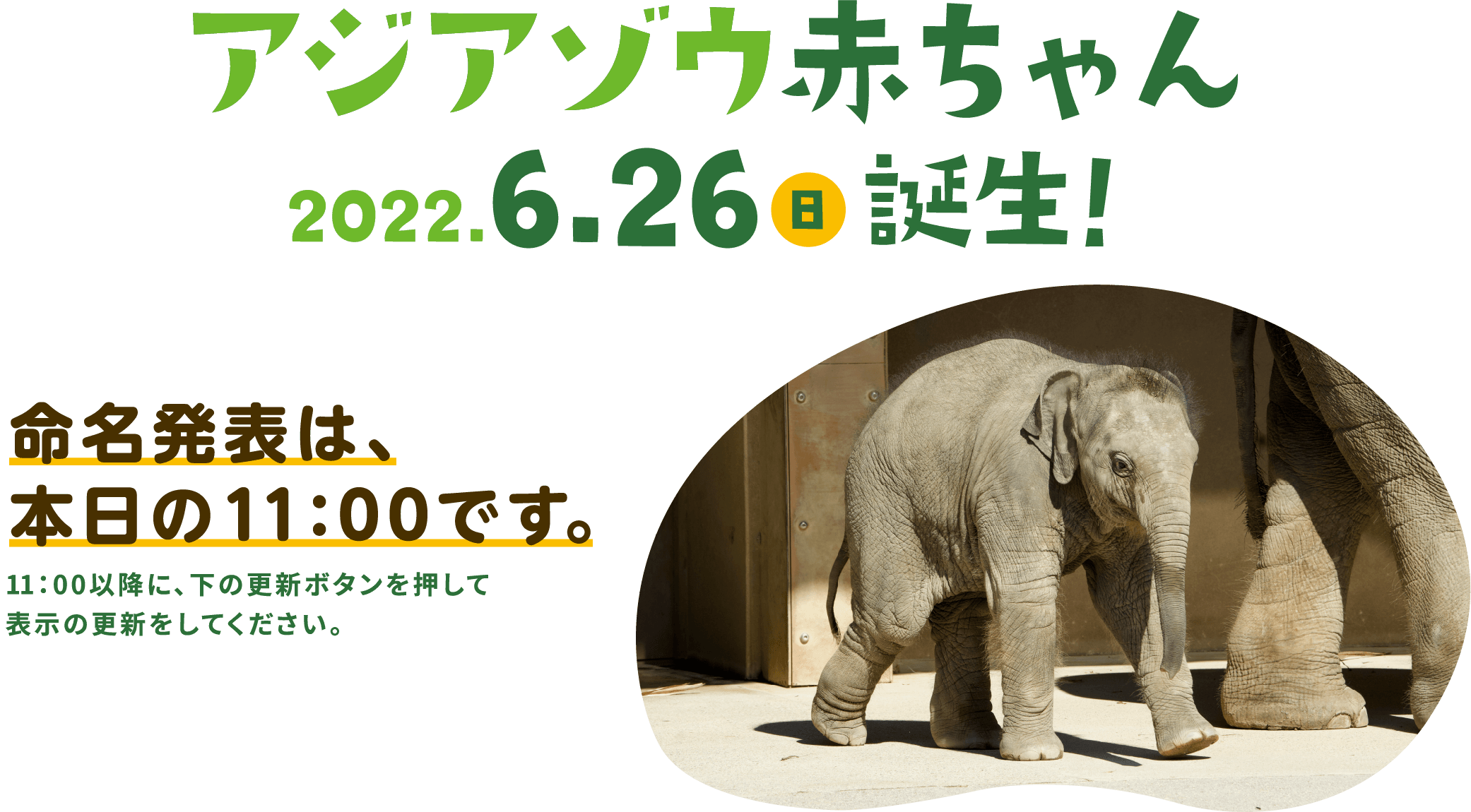 アジアゾウ赤ちゃんの愛称大募集！2022年6月26日誕生！