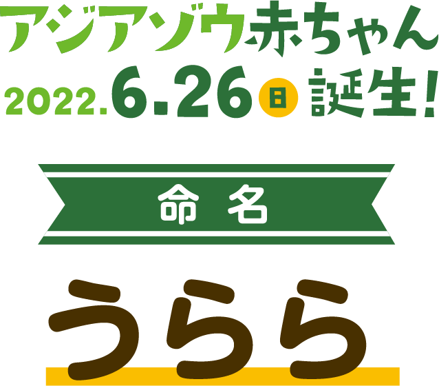 アジアゾウ赤ちゃんの愛称大募集！2022年6月26日誕生！