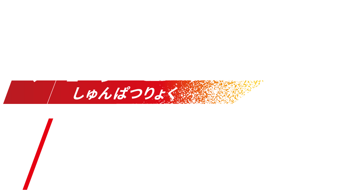 瞬発力しゅんぱつりょく NO.1 スマトラトラ［東南アジア（インドネシア スマトラ島）］体長：1.4〜1.6m　体重：75〜150kg