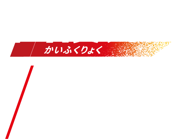 回復力かいふくりょく NO.4 オオサンショウウオ［日本（九州、四国、本州西部）］全長：50〜70cm　体重：3〜5kg（最大で35kg）